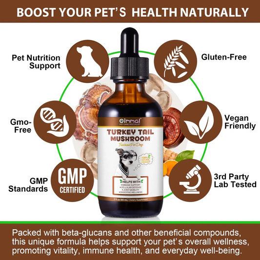 Immal® - Turkey Tail Mushrooms Drops For Dogs