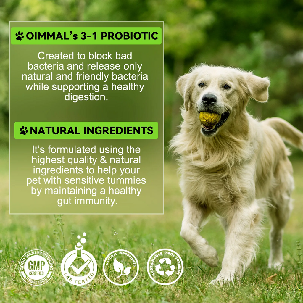 Oimmal® - 3-in-1 Probiotic Drops for Dogs