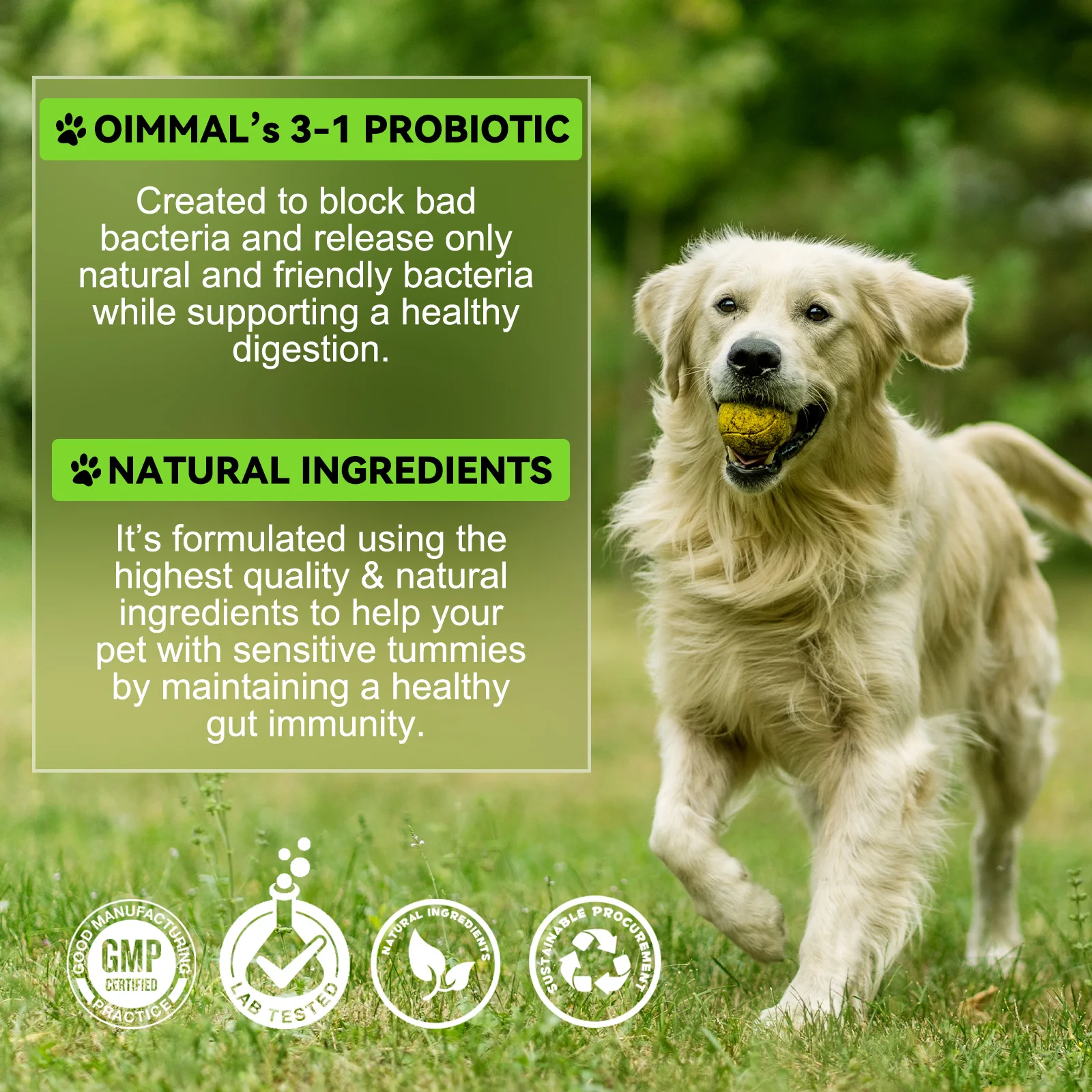 Oimmal® - 3-in-1 Probiotic Drops for Dogs