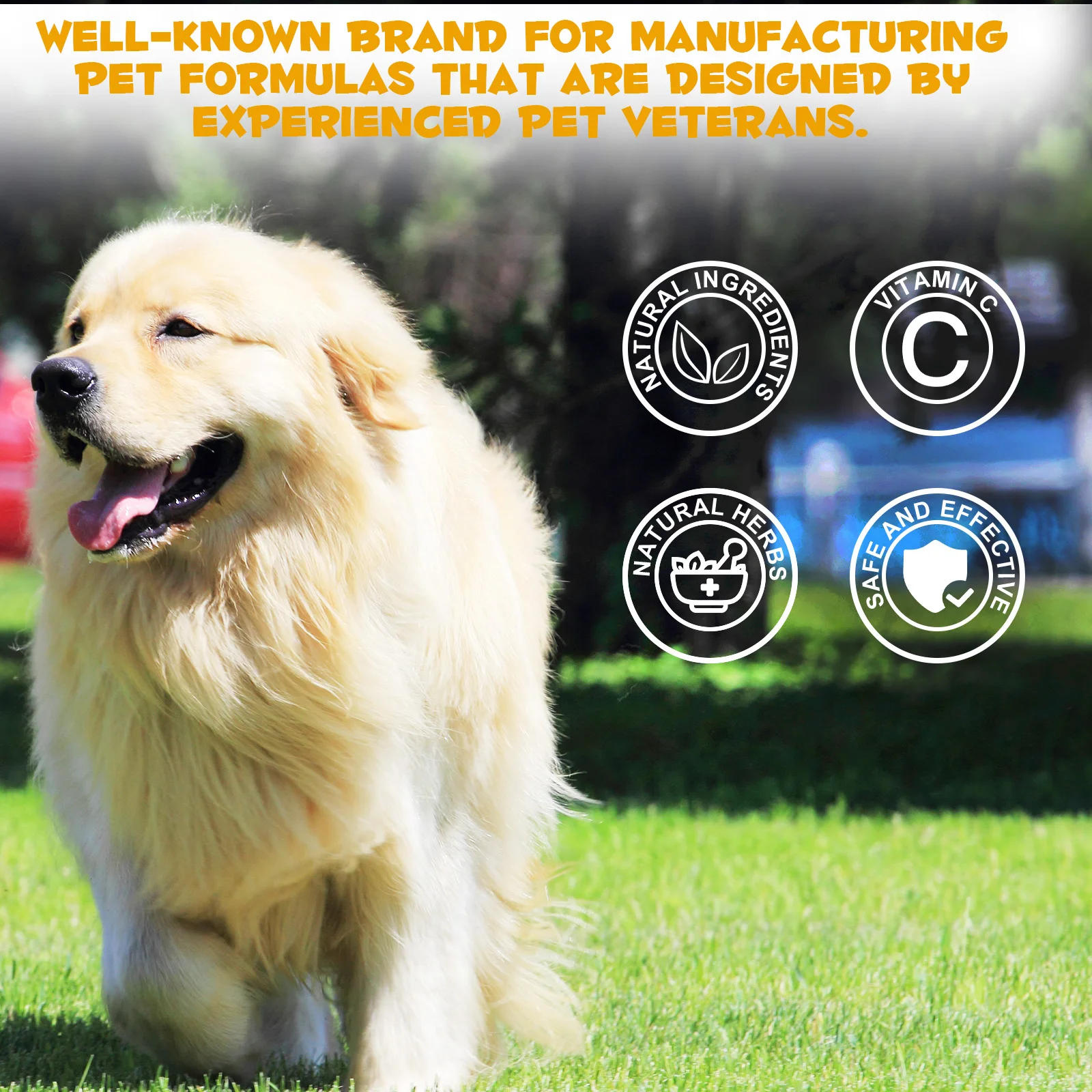Oimmal® - Allergy & Immune Drops for Dogs