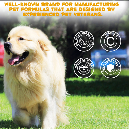 Oimmal® - Allergy & Immune Drops for Dogs