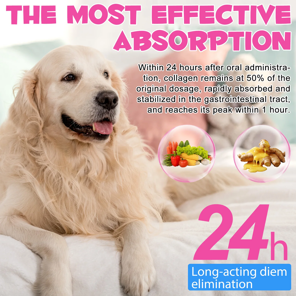Oimmal® - Collagen Drops for Dogs