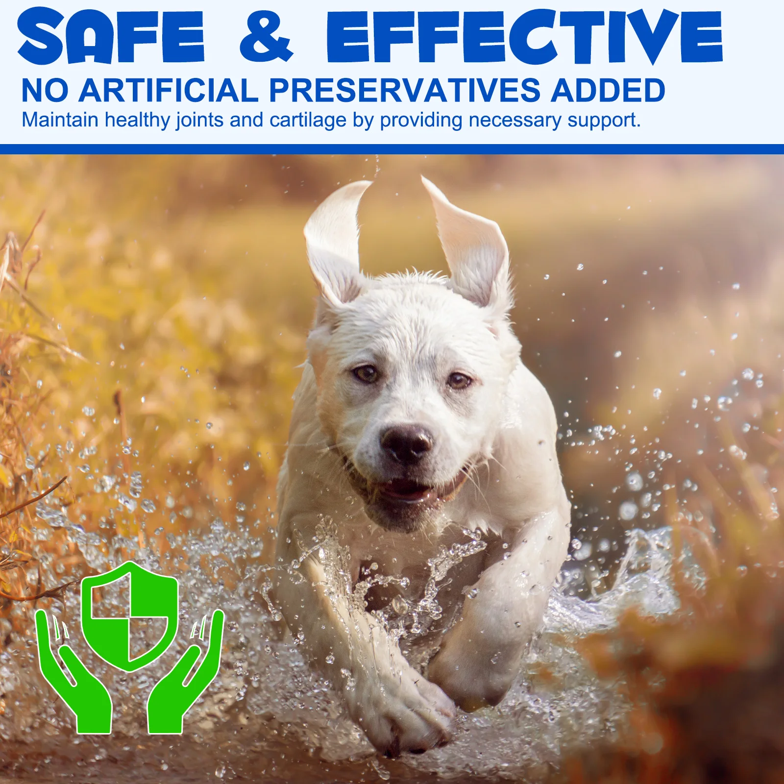 Oimmal® - Joint Aid & Relief Drops for Dogs