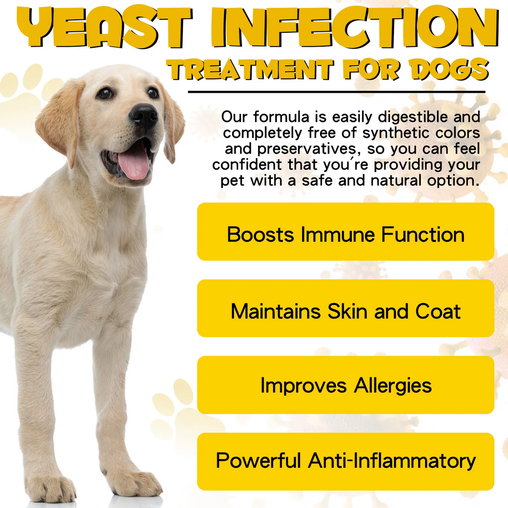 Oimmal® - Yeast Infection Drops For Dogs