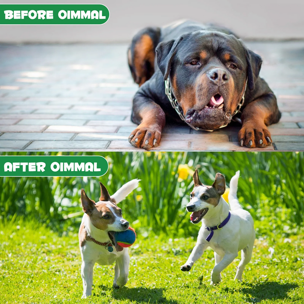 Oimmal® - Herbal De-Wormer Drops for Dogs