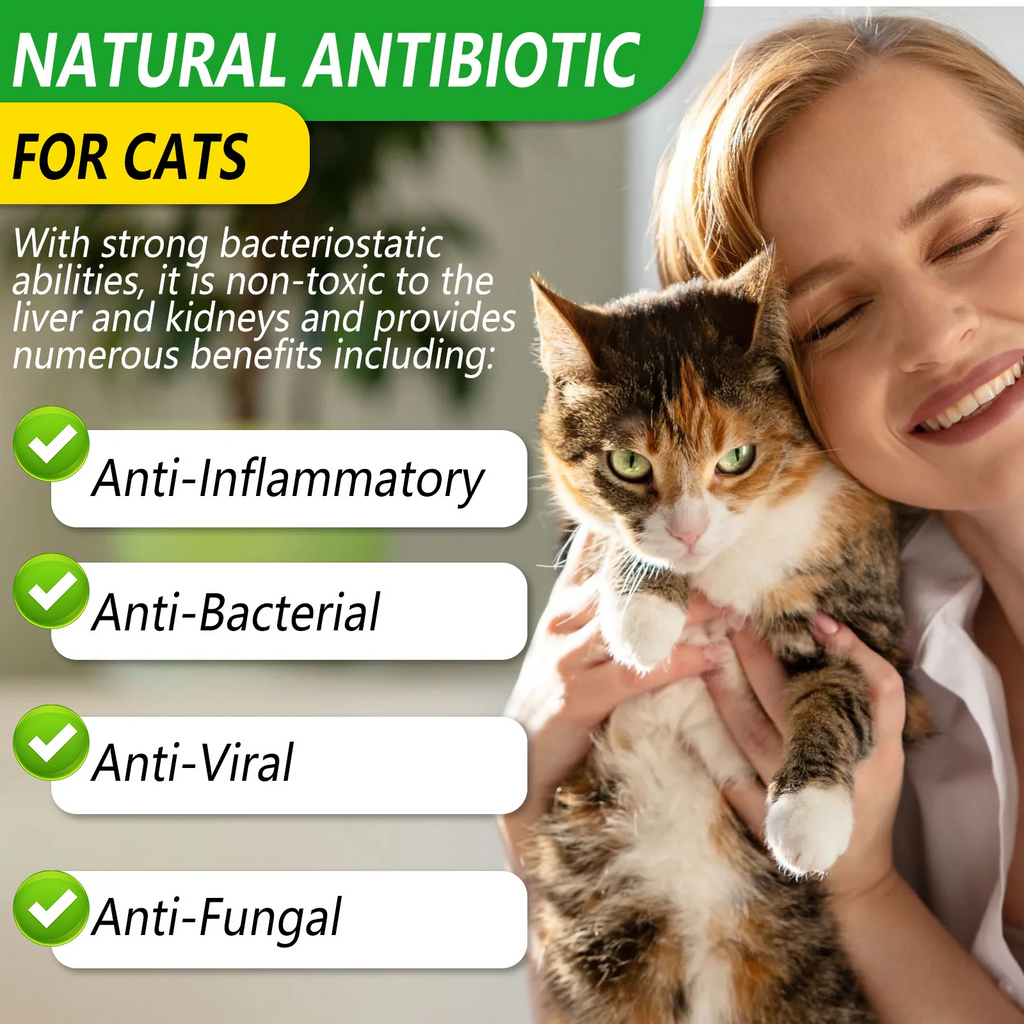 Oimmal® - Natural Antibiotic Drops For Cats