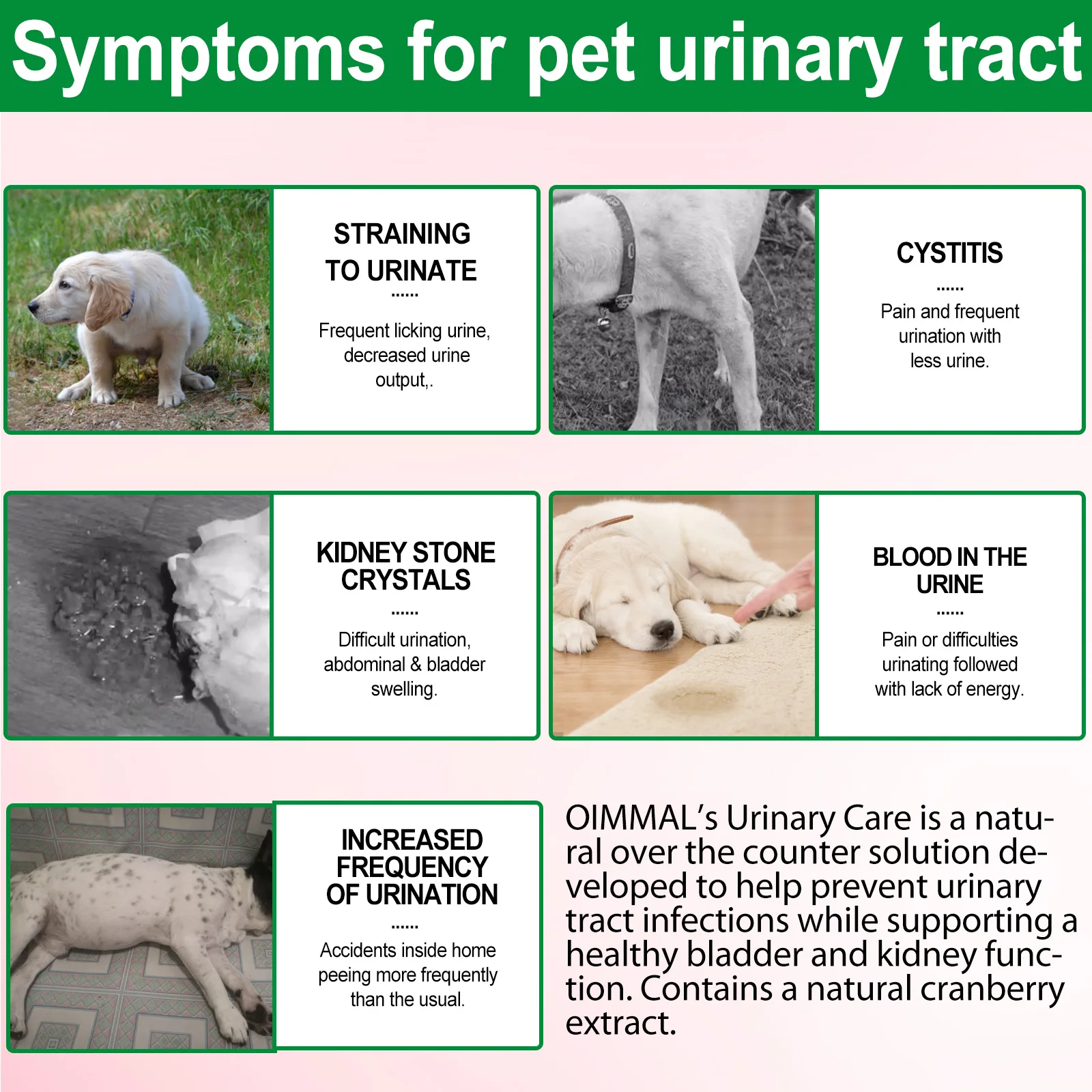 Oimmal® - Urinary Tract Care Drops for Dogs