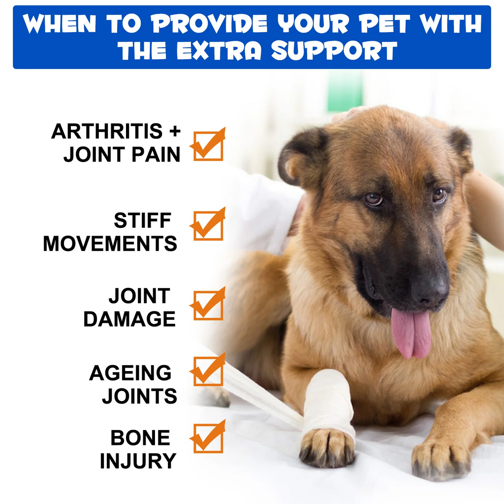 Oimmal® - Joint Aid & Relief Drops for Dogs