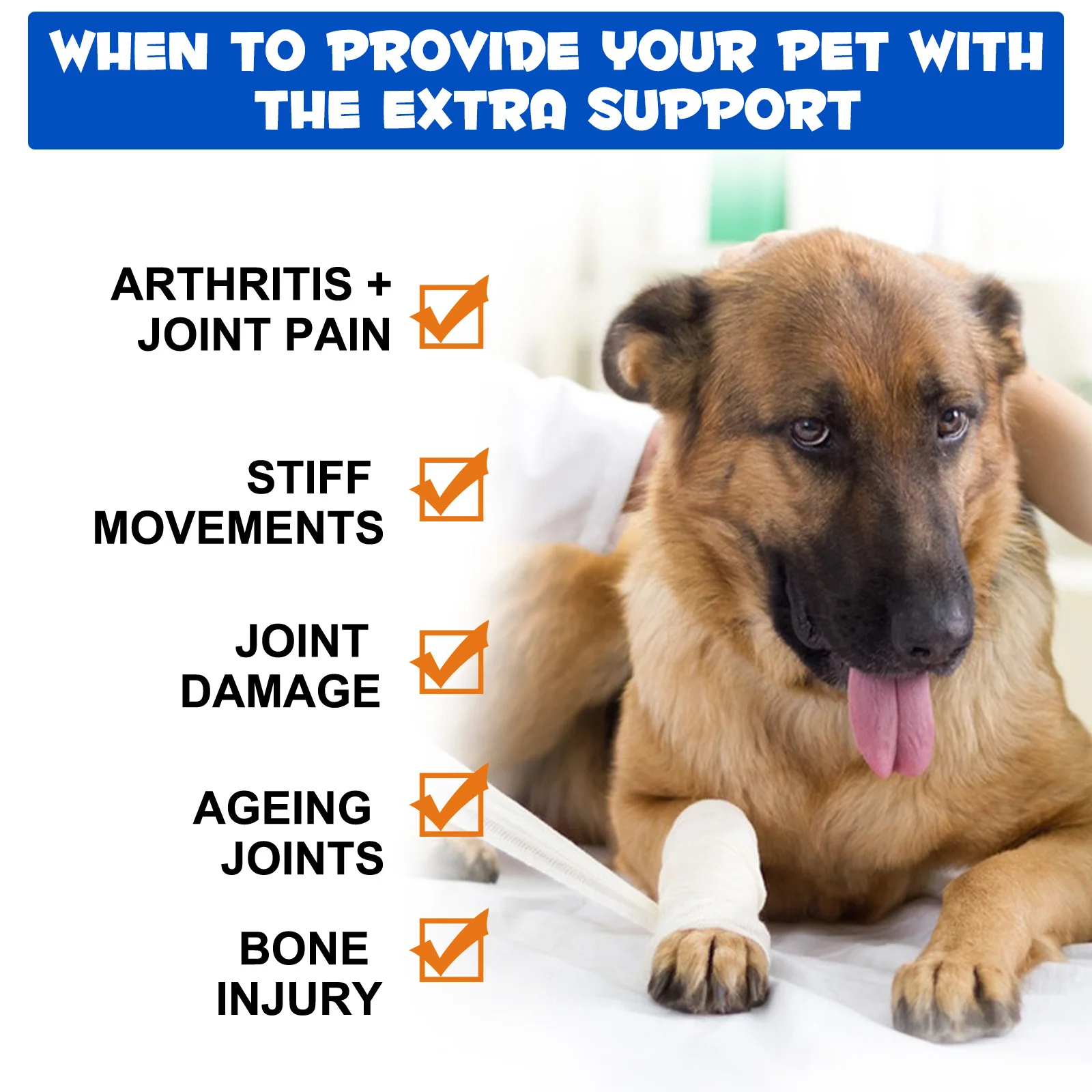 Oimmal® - Joint Aid & Relief Drops for Dogs