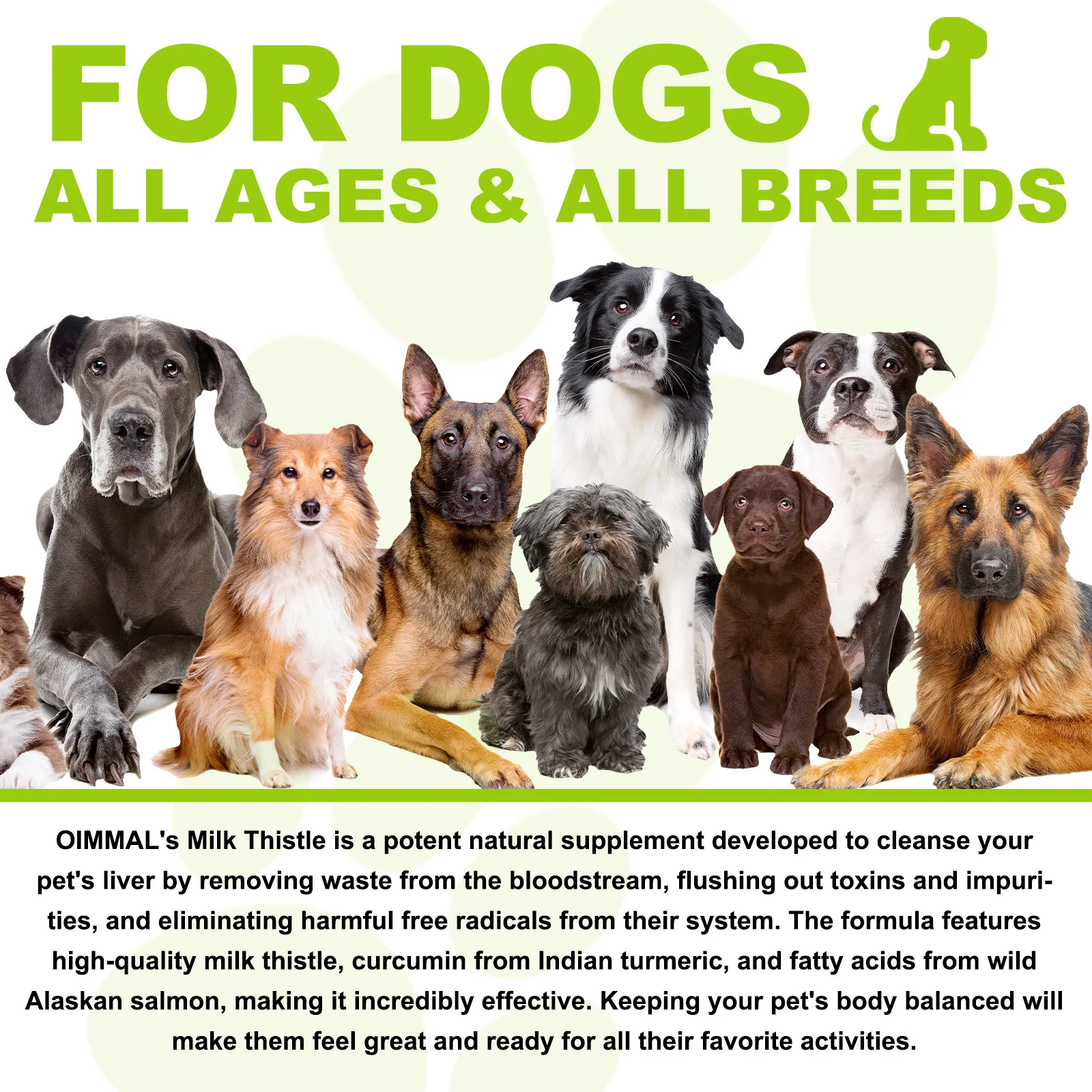 Oimmal® - Milk Thistle Drops For Dogs