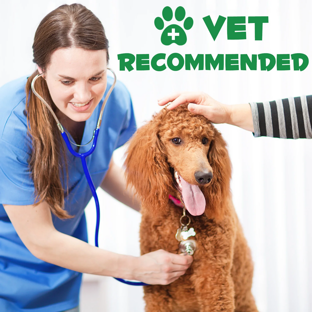 Oimmal® - Herbal De-Wormer Drops for Dogs