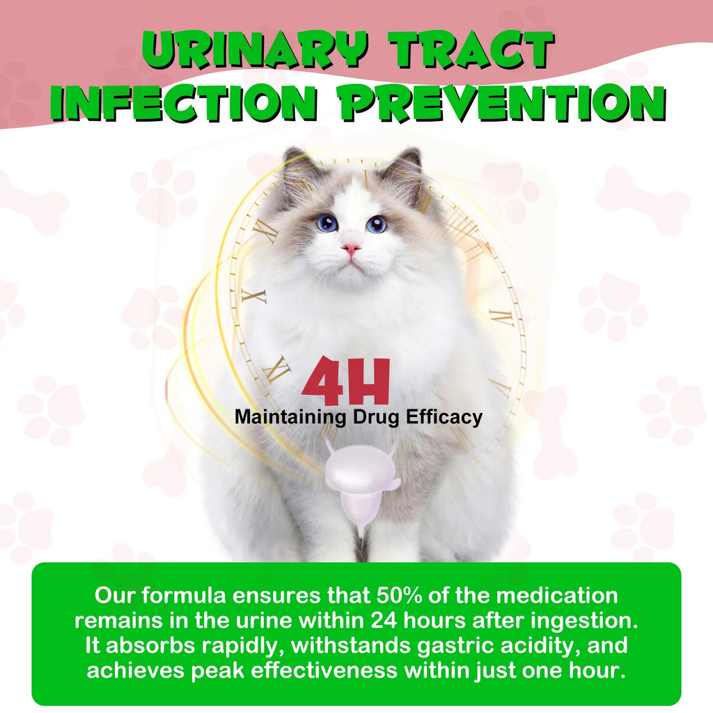 Oimmal® - Urinary Tract Care Drops For Cats