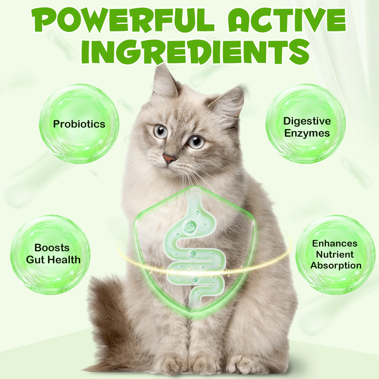 Oimmal® - 3-in-1 Probiotic Drops for Cats