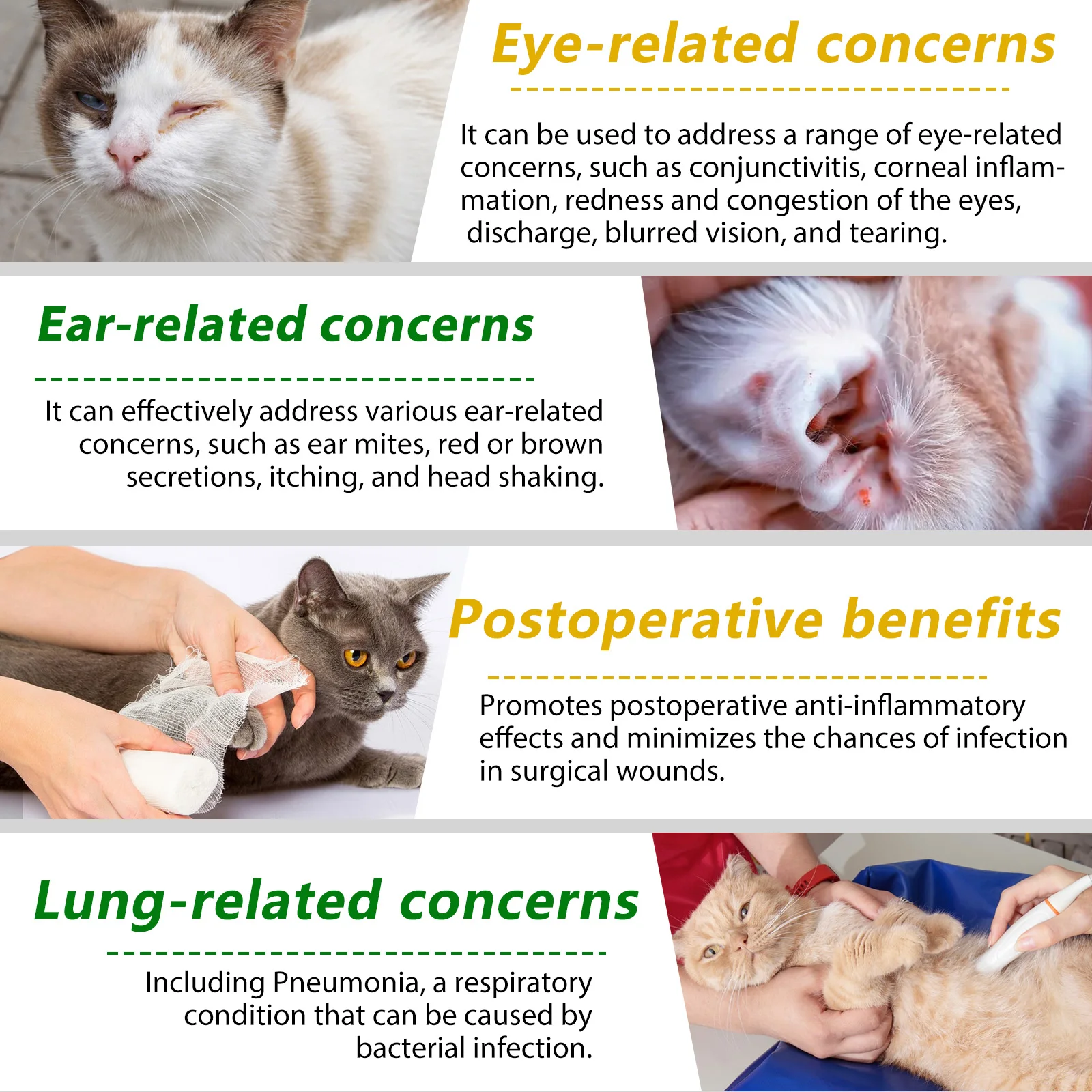 Oimmal® - Natural Antibiotic Drops For Cats
