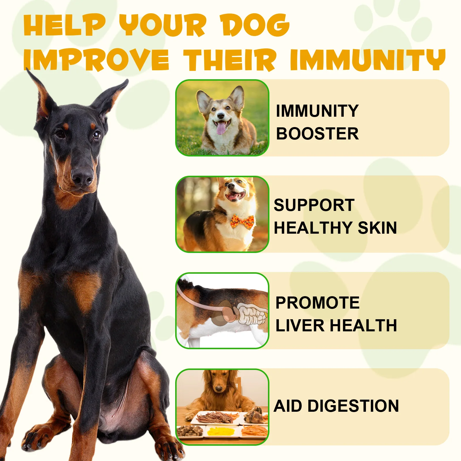 Oimmal® - Allergy & Immune Drops for Dogs