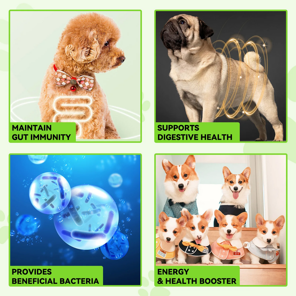 Oimmal® - 3-in-1 Probiotic Drops for Dogs
