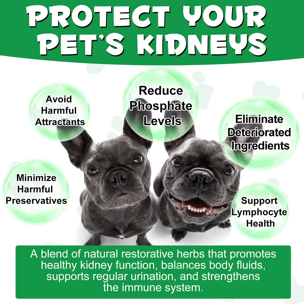 Oimmal® - Kidney Support Drops For Dogs