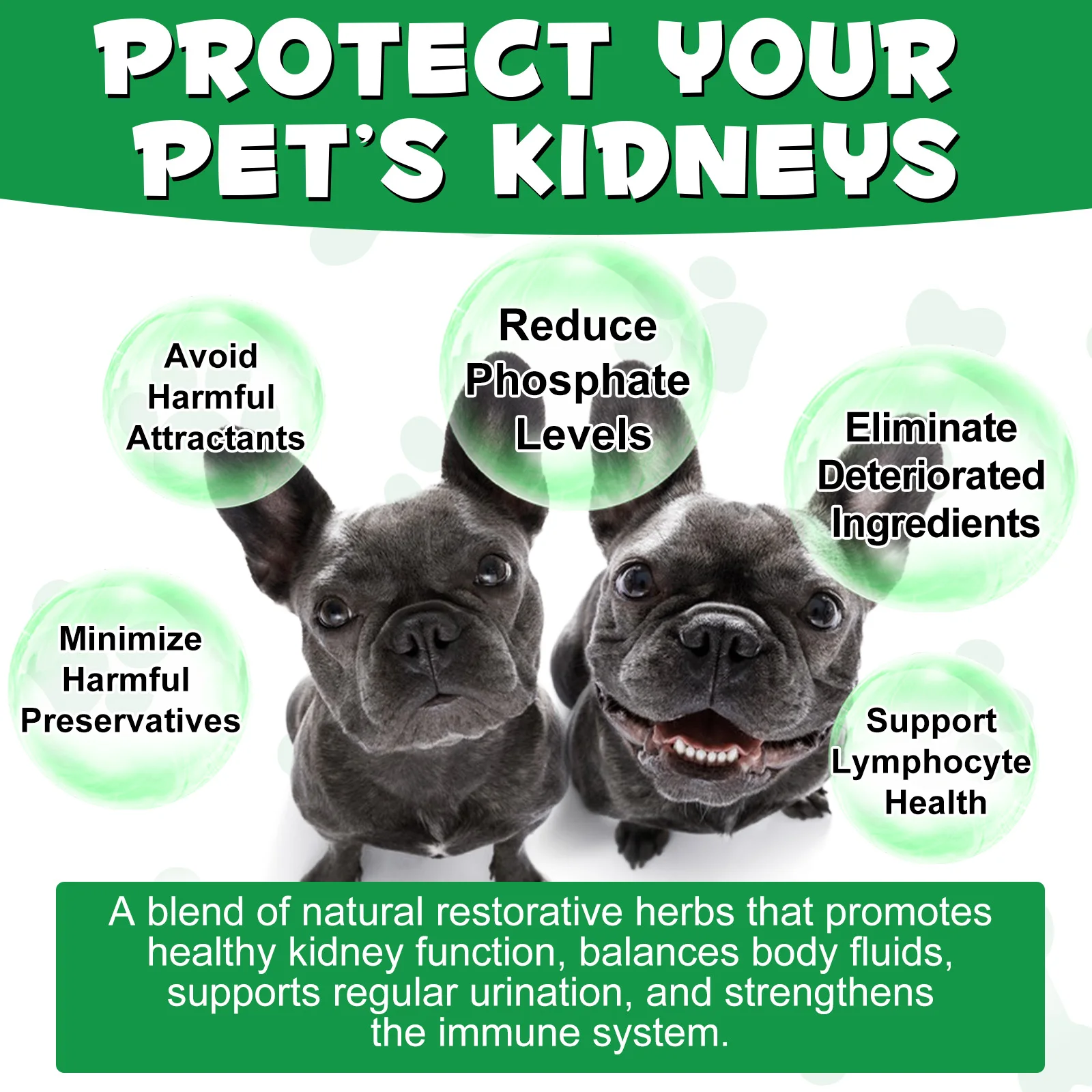 Oimmal® - Kidney Support Drops For Dogs