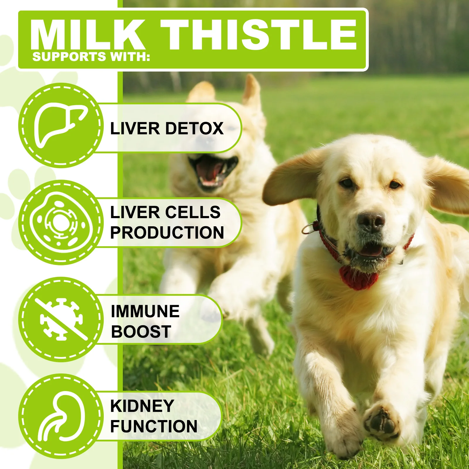Oimmal® - Milk Thistle Drops For Dogs