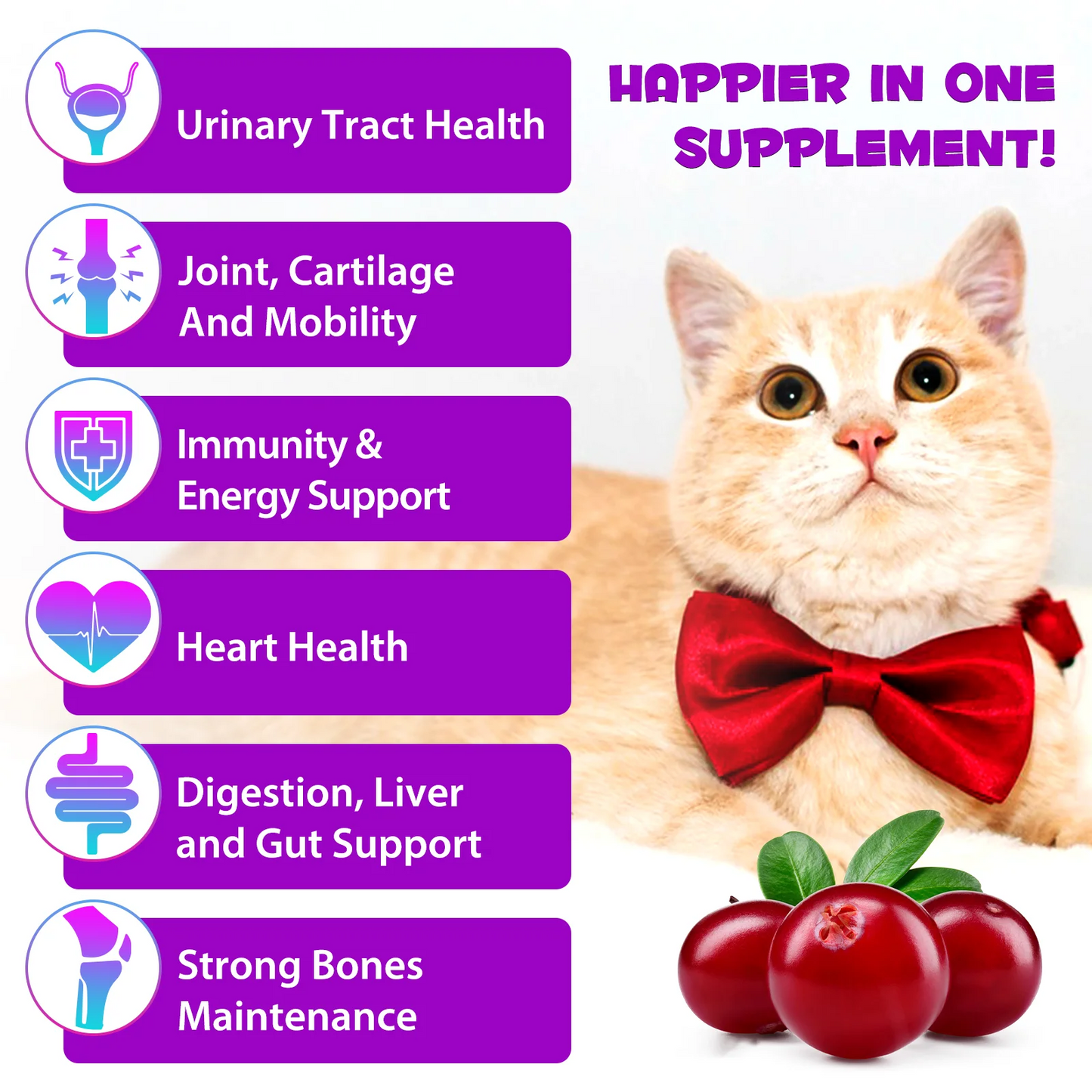 Immal® - 15 in 1 Multivitamin Drops For Cats
