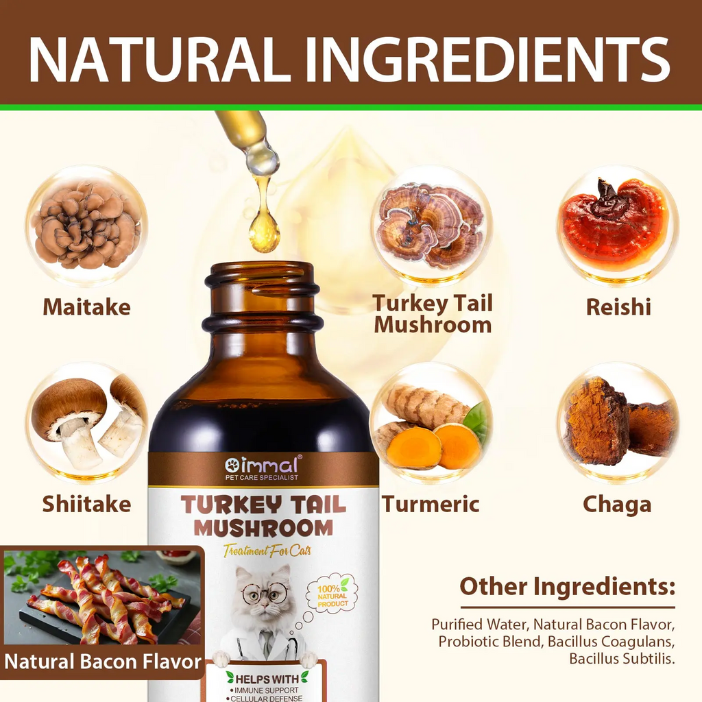 Oimmal® - Turkey Tail Mushrooms Drops For Cats