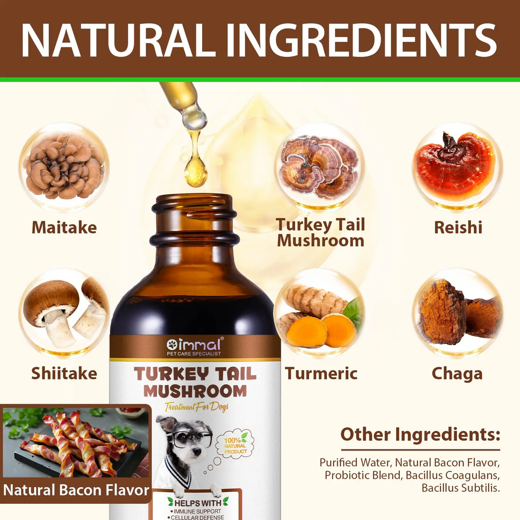 Oimmal® - Turkey Tail Mushrooms Drops For Dogs