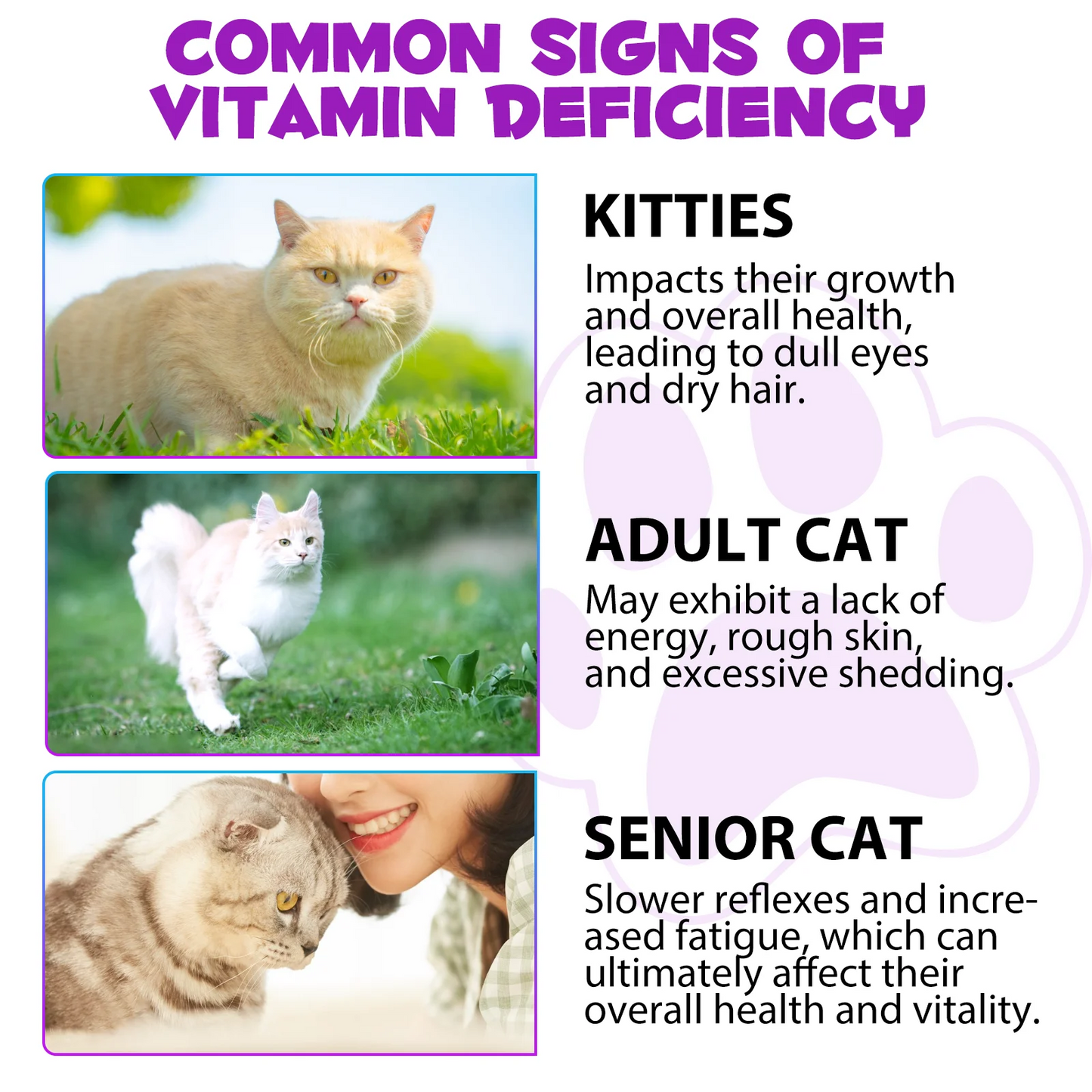 Immal® - 15 in 1 Multivitamin Drops For Cats