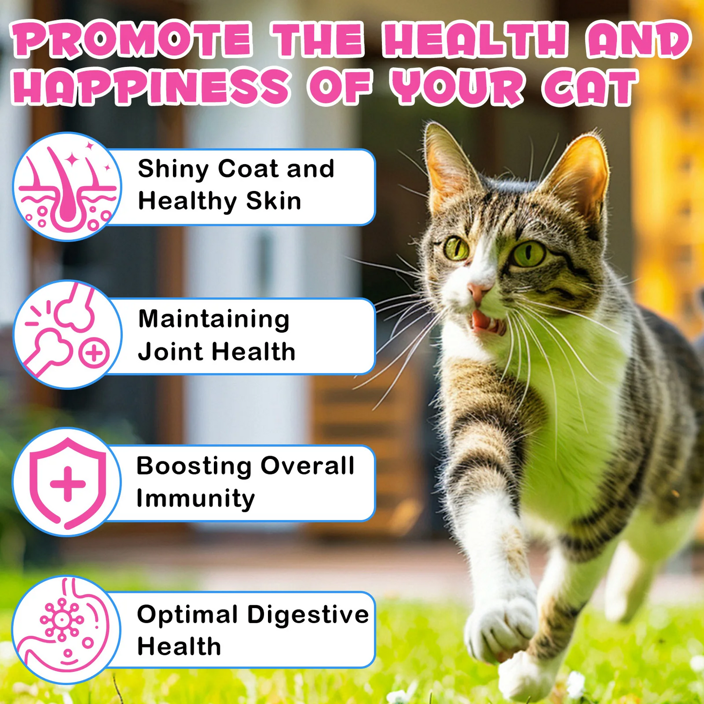 Immal® - Collagen Drops For Cats