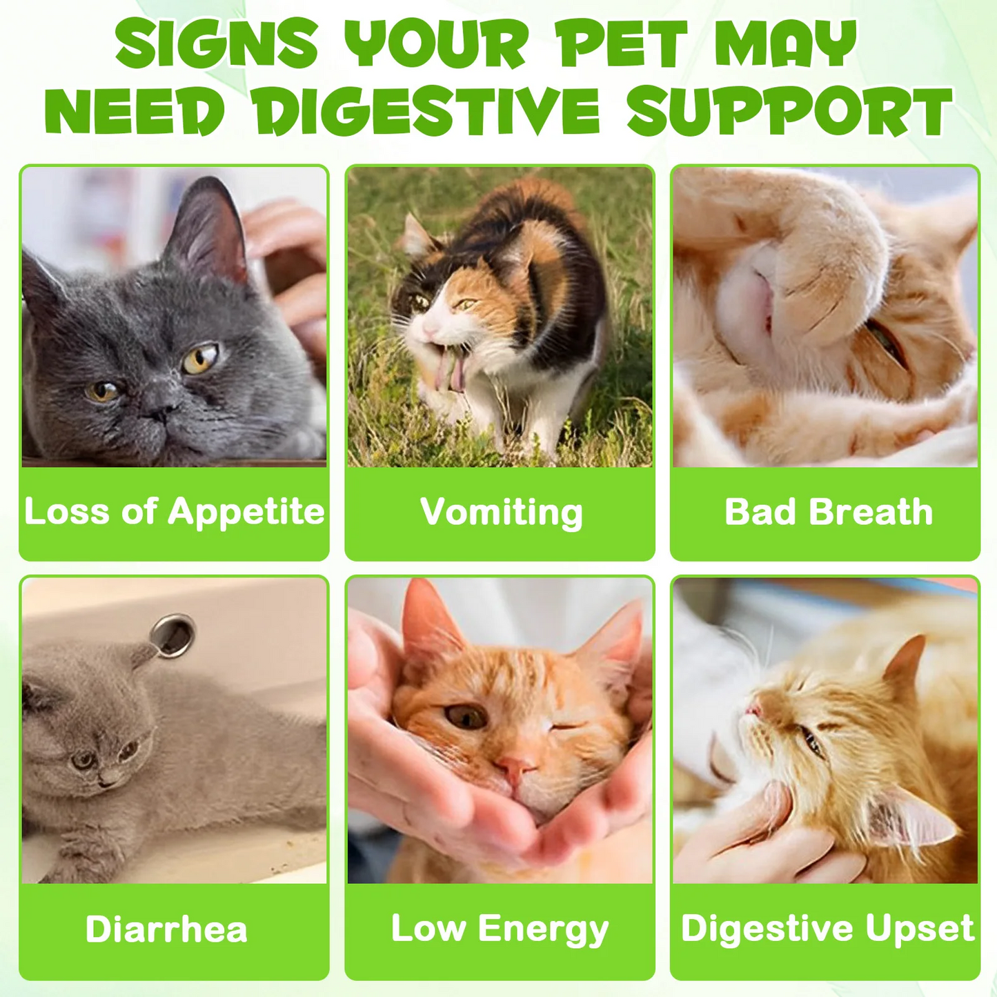 Immal® - 3-in-1 Probiotic Drops for Cats