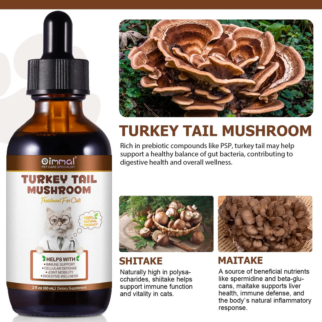 Oimmal® - Turkey Tail Mushrooms Drops For Cats