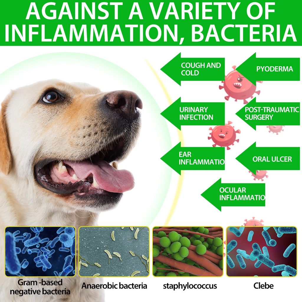 Oimmal® - Natural Antibiotic Drops For Dogs