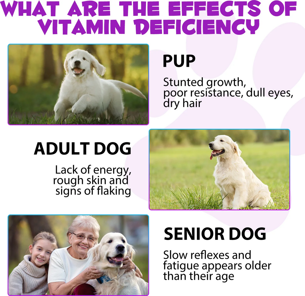 Oimmal® - 15 in 1 Multivitamin Drops for Dogs