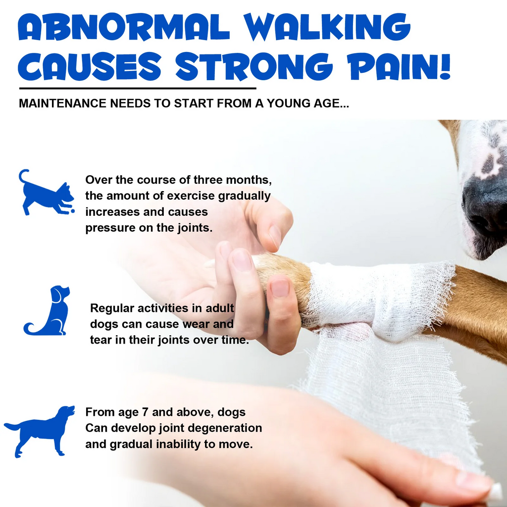 Oimmal® - Joint Aid & Relief Drops for Dogs
