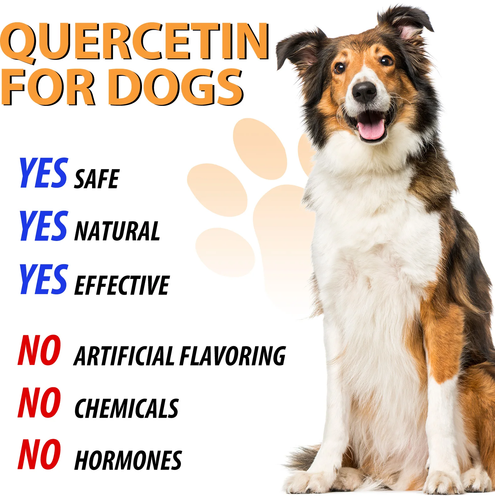 Oimmal® - Quercetin Drops For Dogs