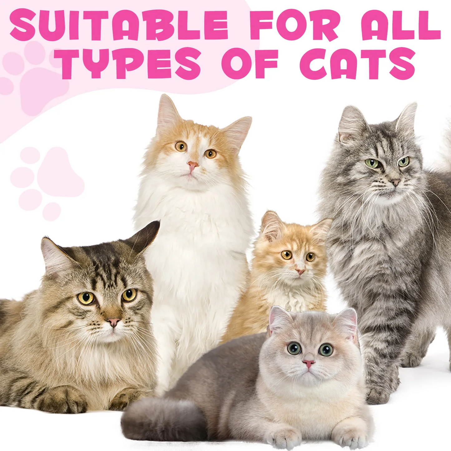 Immal® - Collagen Drops For Cats