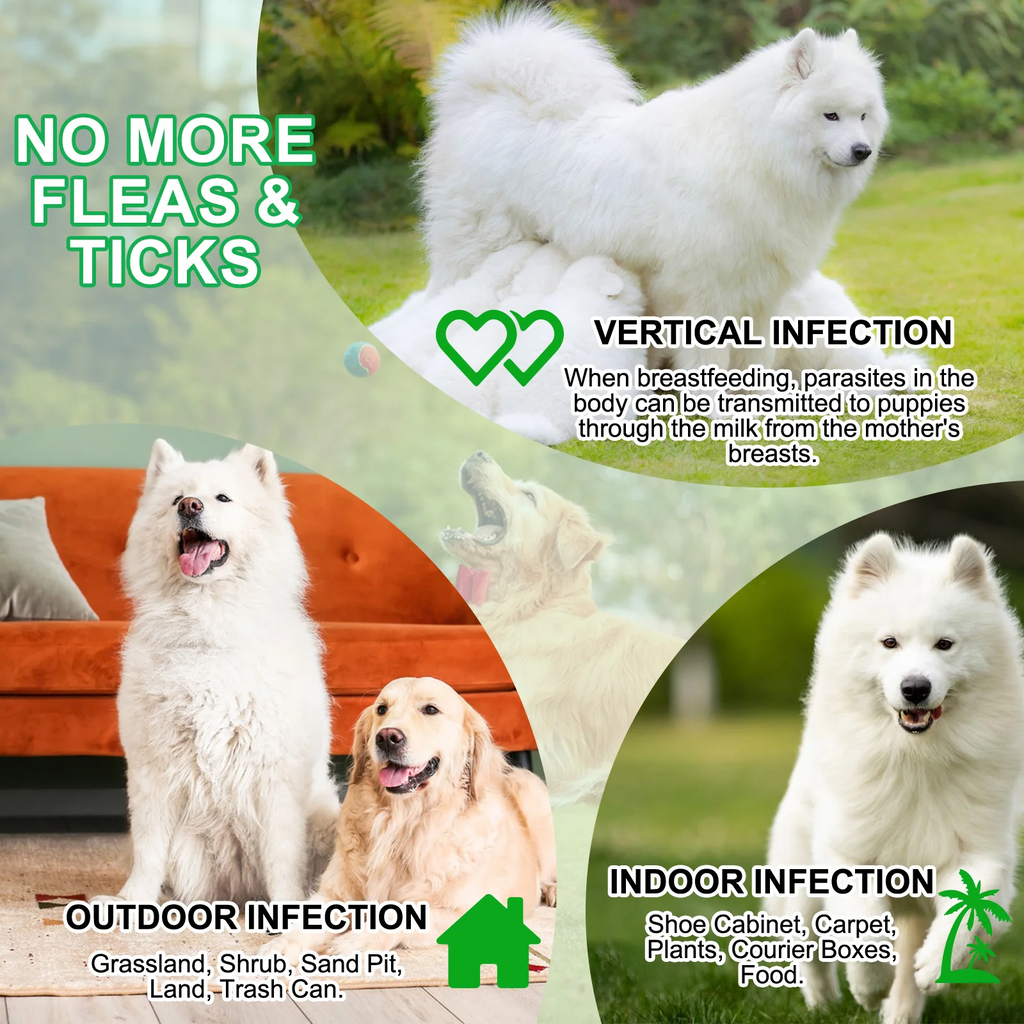 Oimmal® - Flea & Tick Prevention Soft Chews for Dogs