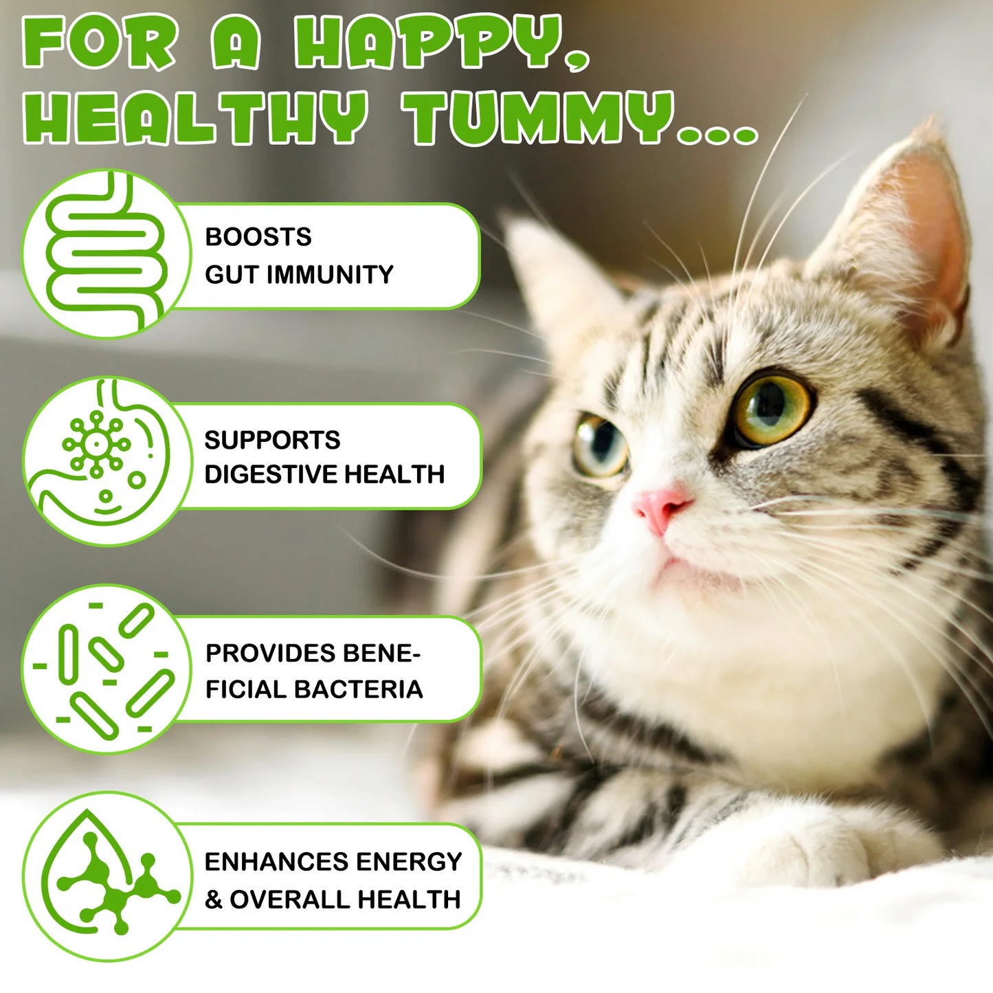 Immal® - 3-in-1 Probiotic Drops for Cats