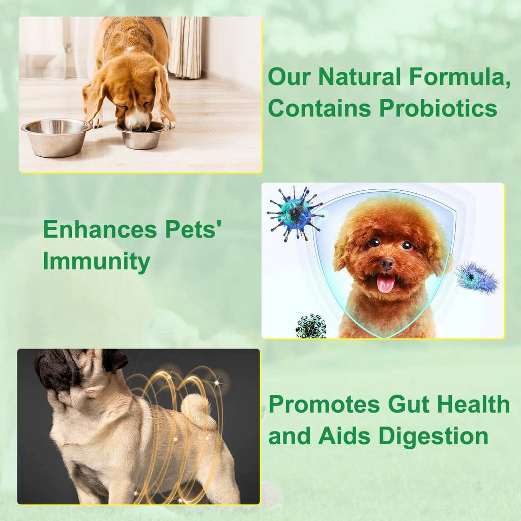 Oimmal® - Herbal De-Wormer Drops for Dogs