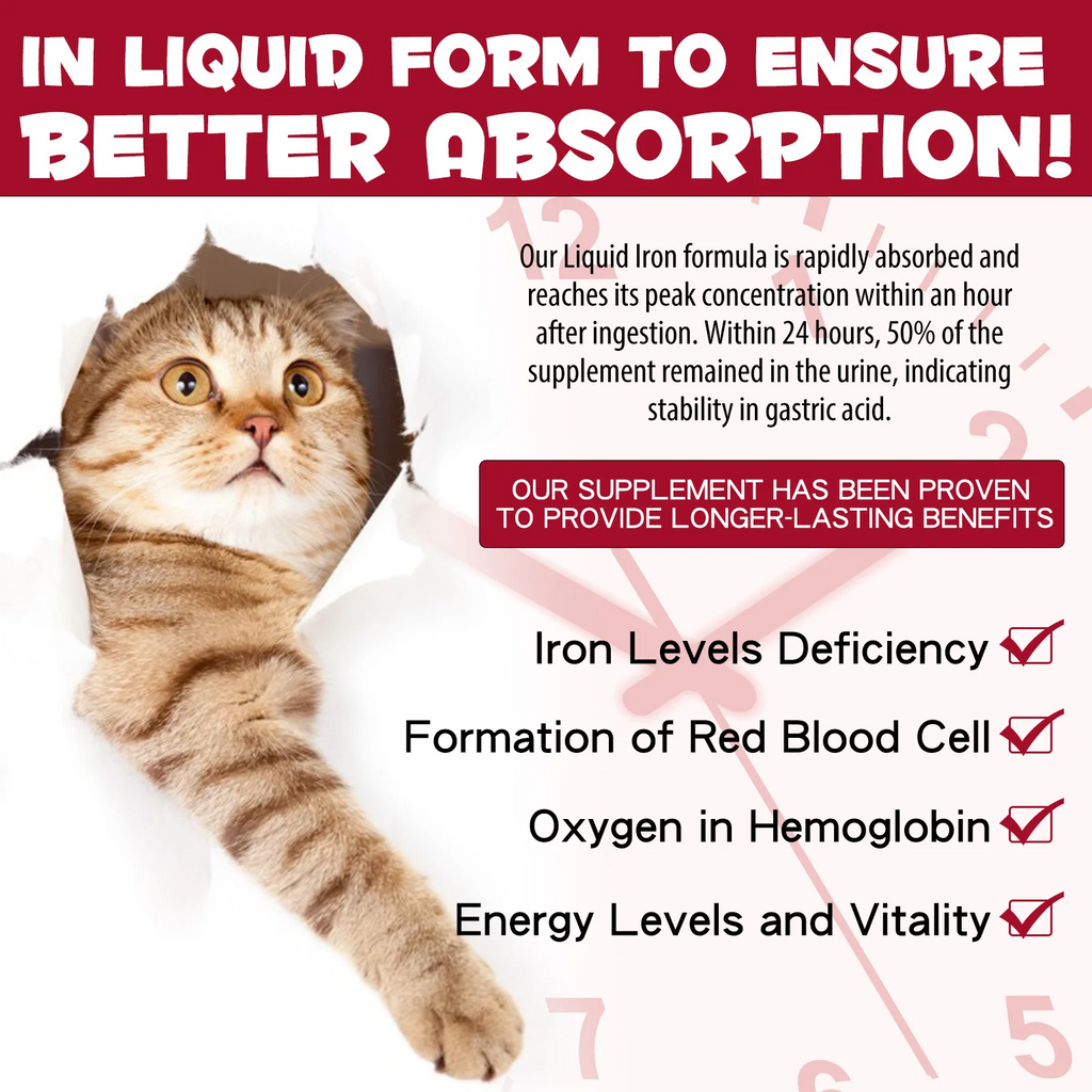 Oimmal® - Liquid Iron Drops for Cats