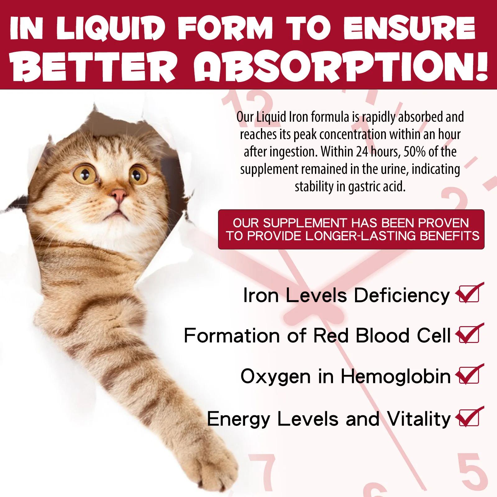 Oimmal® - Liquid Iron Drops for Cats