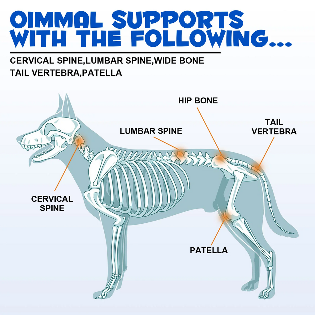 Oimmal® - Joint Aid & Relief Drops for Dogs