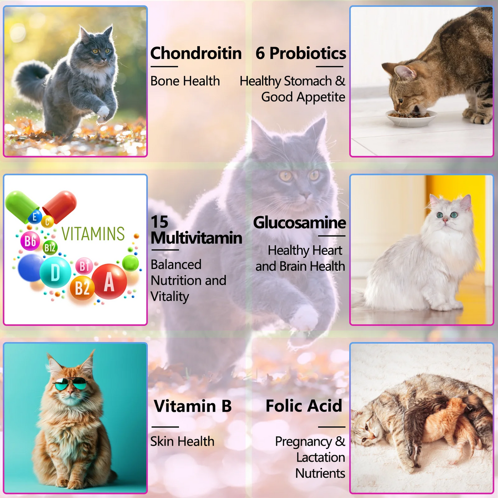 Oimmal® - 15 in 1 Multivitamin Drops For Cats