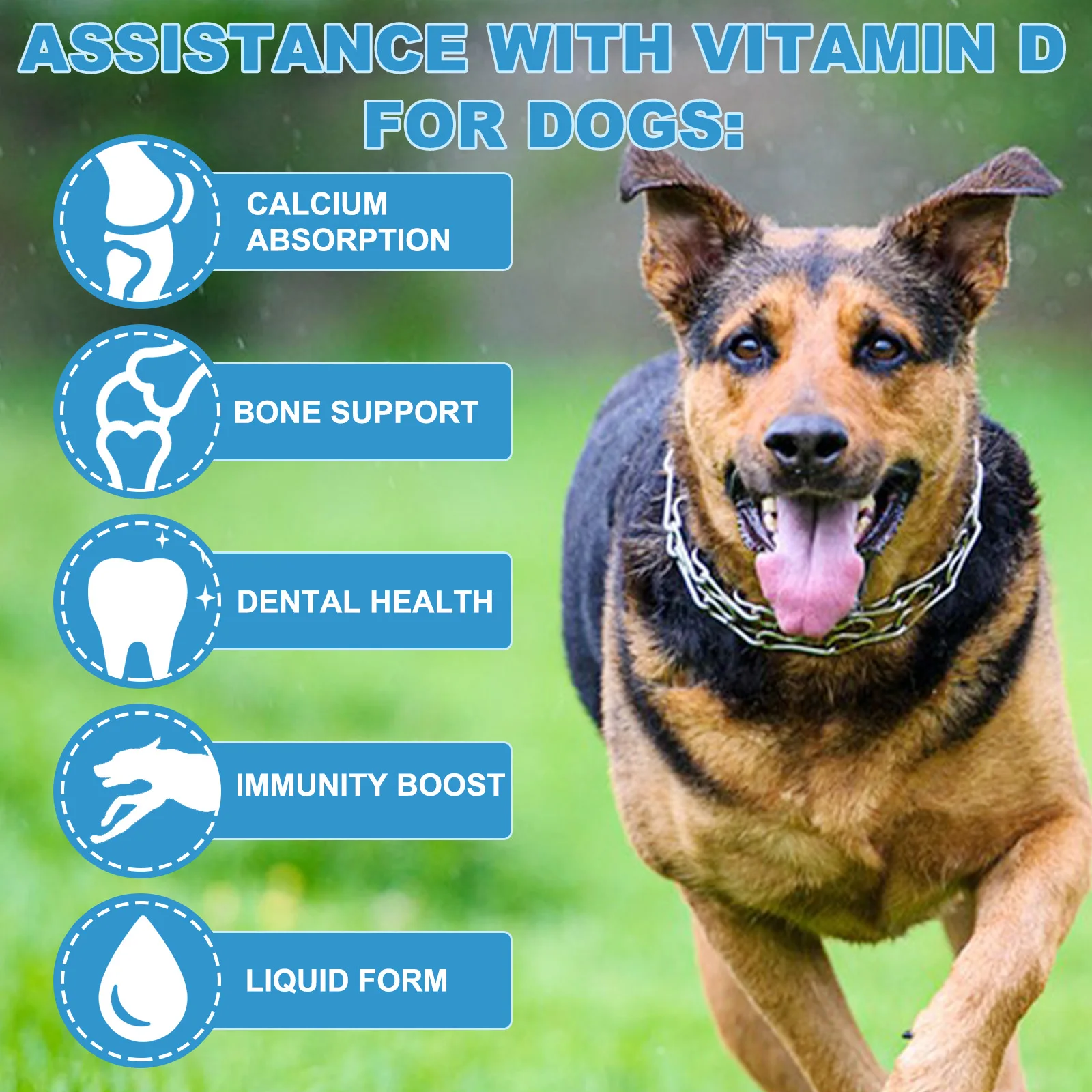 Oimmal® - Liquid Vitamin D Drops for Dogs