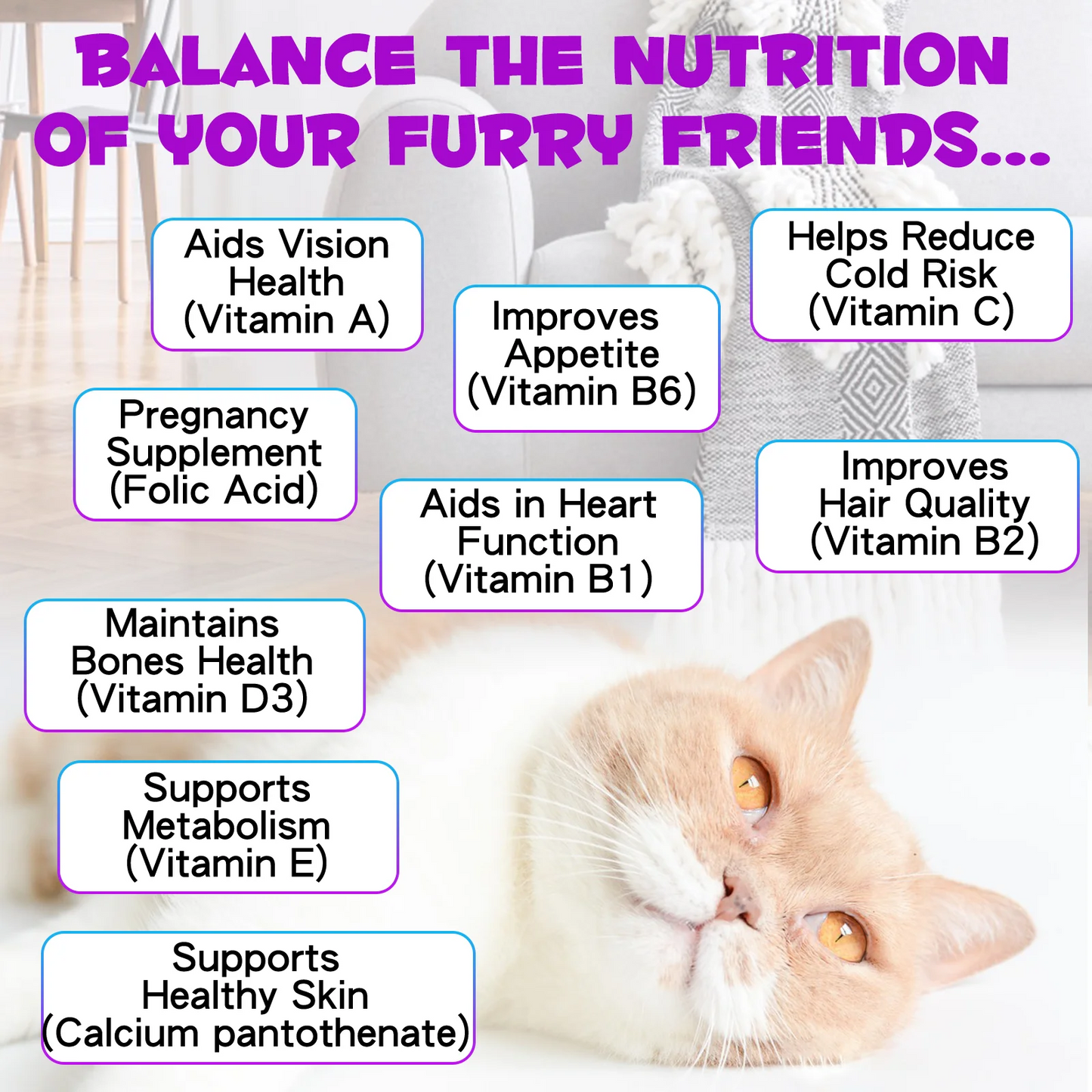 Immal® - 15 in 1 Multivitamin Drops For Cats