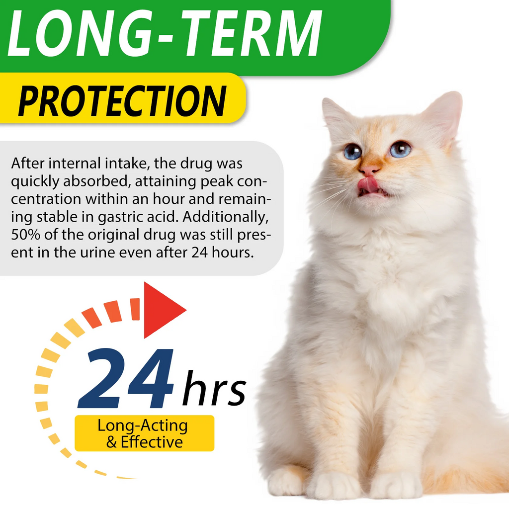 Oimmal® - Natural Antibiotic Drops For Cats