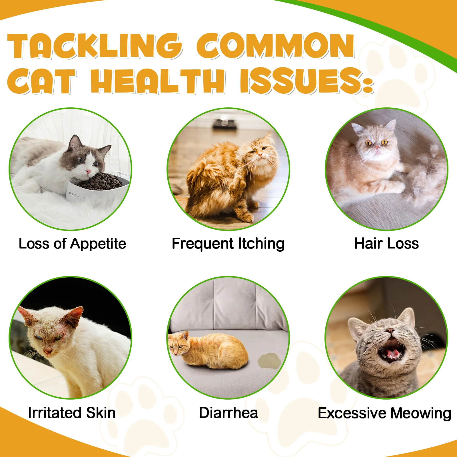 Oimmal® - Allergy & Immune Drops for Cats