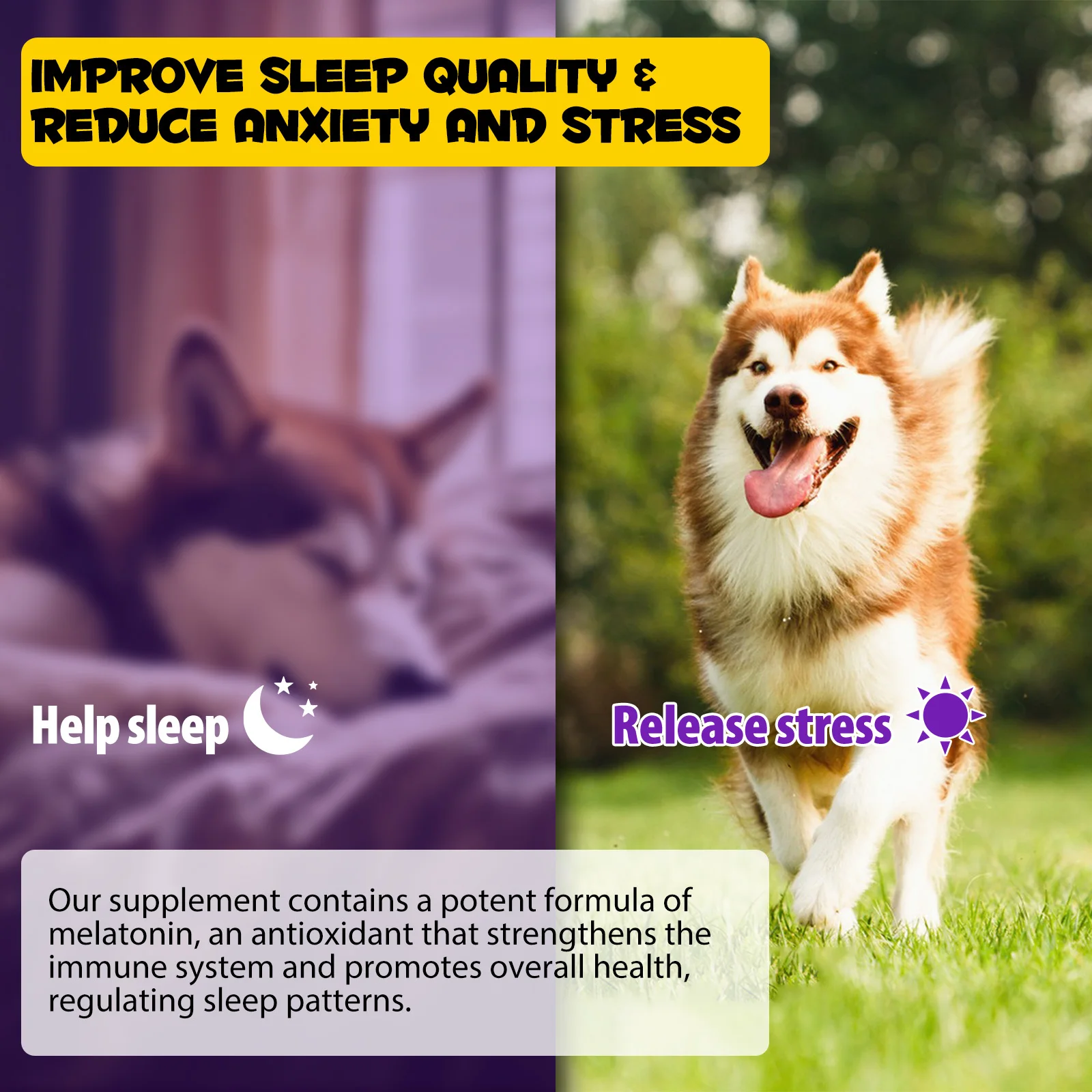 Oimmal® - Sleep Aid Drops For Dogs