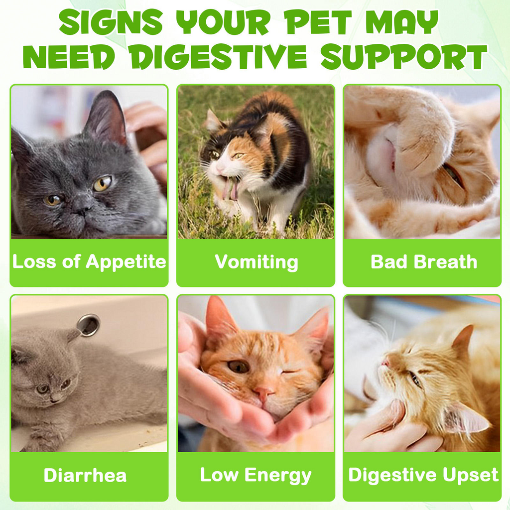 Oimmal® - 3-in-1 Probiotic Drops for Cats