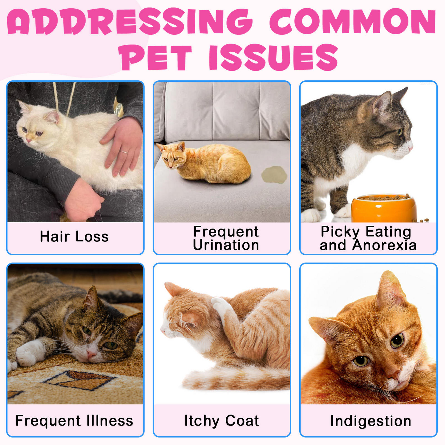 Immal® - Collagen Drops For Cats