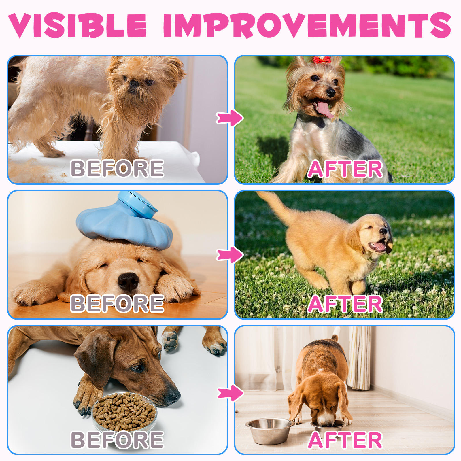 Oimmal® - Collagen Drops for Dogs